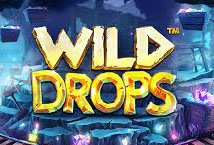 Wild Drops Slot Review